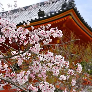 Sakura Gion North Aparthotel Kyoto